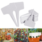 Cartel indicador para  plantas  plástico 10pcs, 15x3,7x5,7cm - Imagen 6
