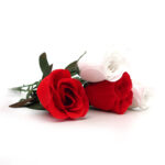 Pimpollo Rosa grande; 65 largo - Imagen 6