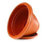 Maceta marrón JyG lisa c/plato, 22 x 17,5 cms - Imagen 4