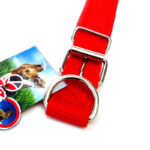 Collar para perro J&G nylon reforzado 55 cm largo x 3,5 cm ancho - Imagen 2