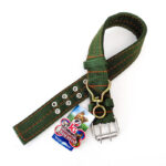 Collar para perro J&G nylon doble fila ojales 63 cm largo x 4 cm ancho