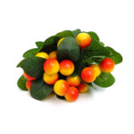 Ramo quinotos x 7, 36 cm largo - Imagen 2