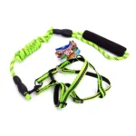 Correa y Pechera para perro J&G 140 cm - Imagen 2