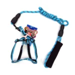 Correa y Pechera para perro J&G 140 cm