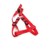Correa y pechera p/perro  J&G nylon 120 x 0,8 cm - Imagen 5