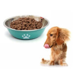 Comedero perro/gato  acero inoxidable 14x4cm