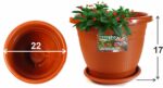 Maceta marrón JyG lisa c/plato, 22 x 17,5 cms - Imagen 2