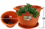 Maceta económica JyG plástico c/plato, 38 x 28 cm - Imagen 2