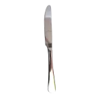 Blister cuchillos acero inox. x 6 unid 23 cm largo - Imagen 6